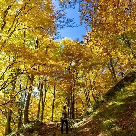 Dimora In Piazza -locazione Turistica